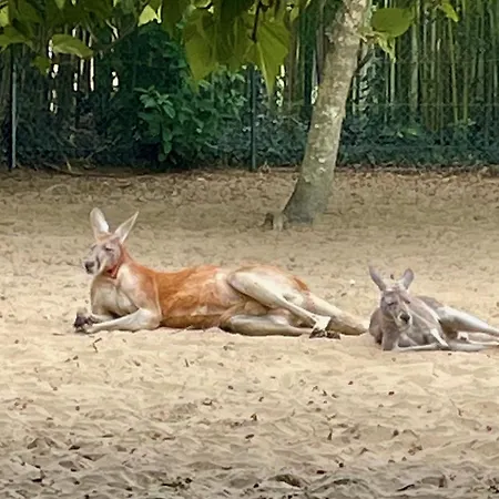 Prázdninový dům Spacious Mobil 42m2 - 3bed-2bath-clim Siblu Les Charmettes Les Mathes