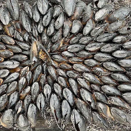 Spacious Mobil 42m2 - 3bed-2bath-clim Siblu Les Charmettes 펜션 *