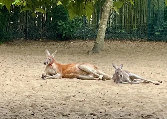 Сasa de vacaciones Spacious Mobil 42m2 - 3bed-2bath-clim Siblu Les Charmettes Les Mathes